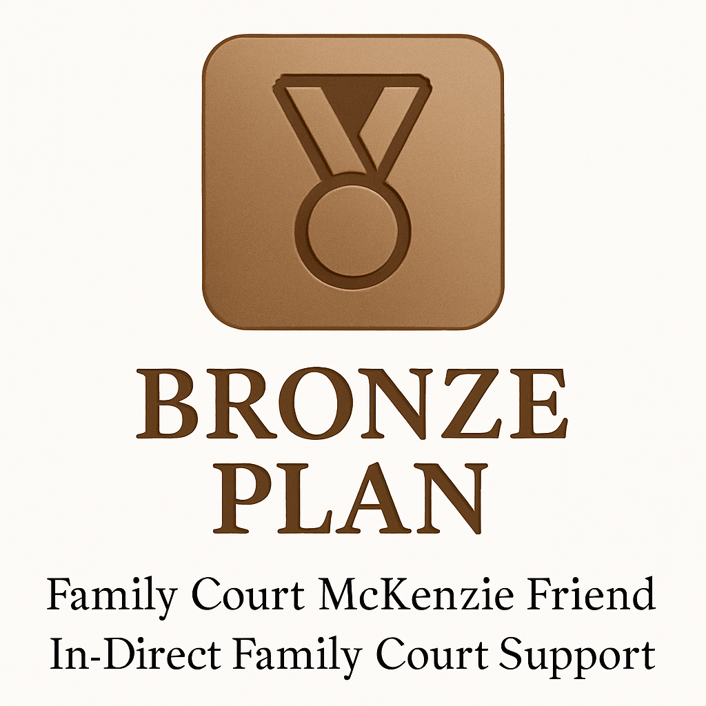 Bronze Plan | Family Court McKenzie Friend | In-Direct Family Court Support