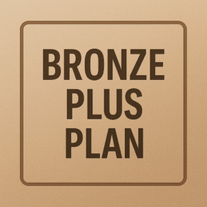 Bronze PLUS Plan | Family Court McKenzie Friend | Standard In-Court Support